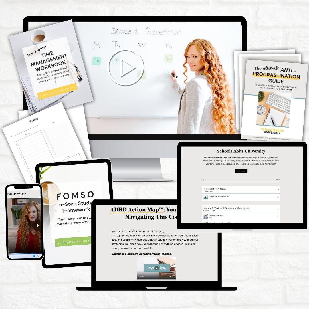 SchoolHabits University Standard (Website Offer)